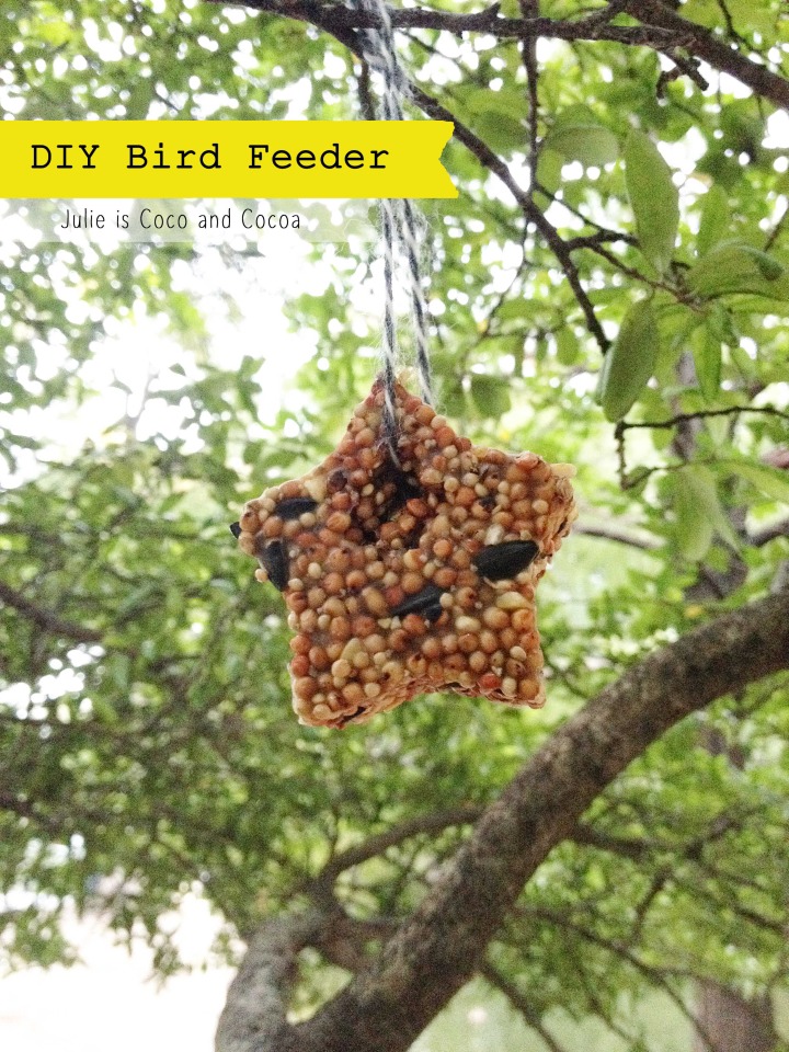 Personalized Diy Bird Feeders In Fun Shapes Julie Measures