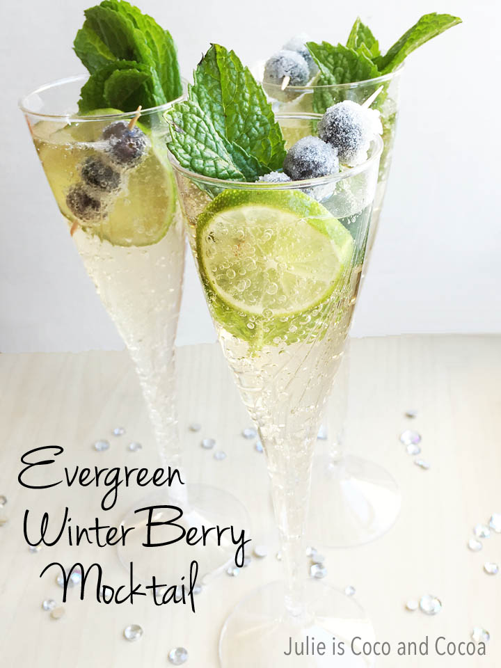 Evergreen Winter Berry Mocktail