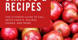 Best apple Crafts and Recipes