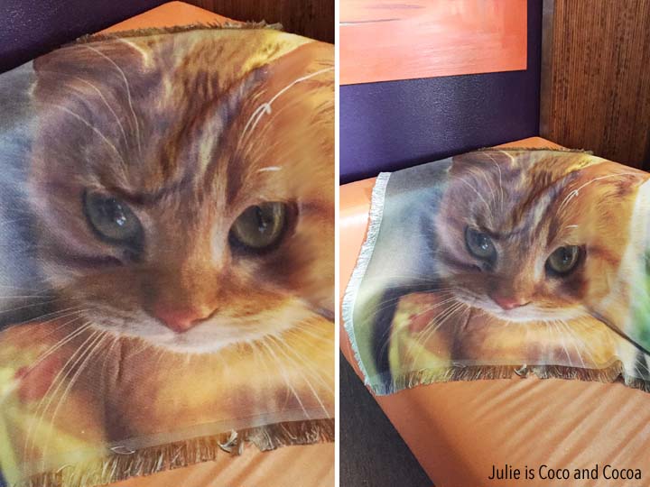 branson-cat-blanket