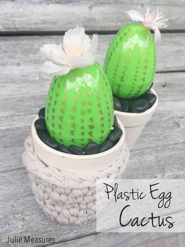 TShirt Yarn Bowl Plastic Egg Cactus