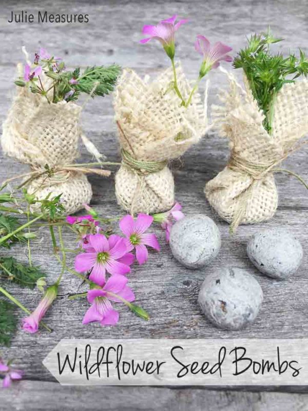 Easy DIY Wildflower Seed Bombs Julie Measures