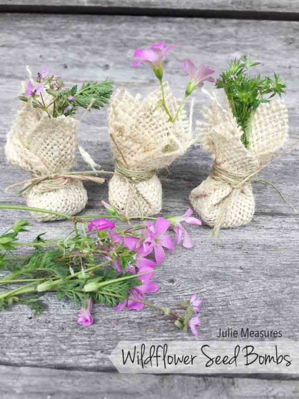 Easy DIY Wildflower Seed Bombs Julie Measures