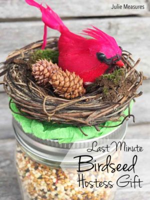 Last Minute DIY Birdseed Hostess Gift - Julie Measures
