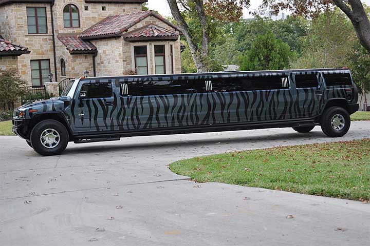 14+ Party Bus For Birthday