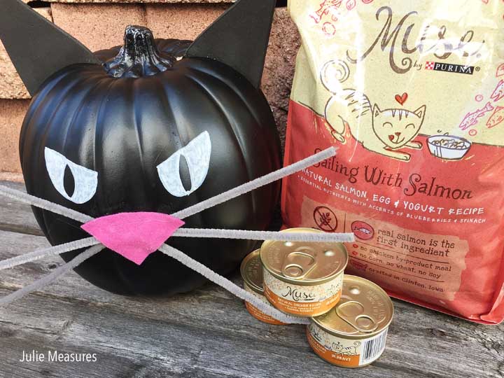 DIY Black Cat Pumpkin