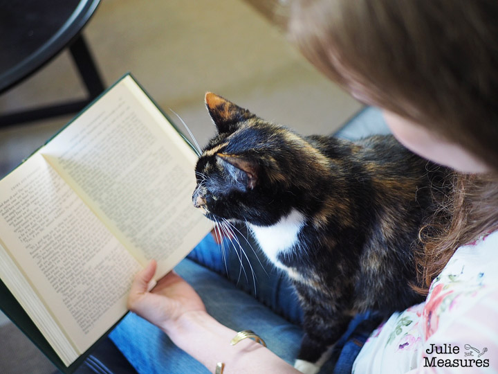 Reading with your cat